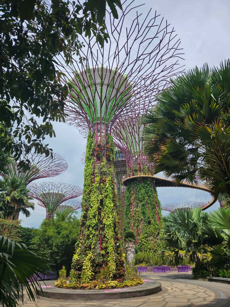 The fantastic "Super trees" in Singapore