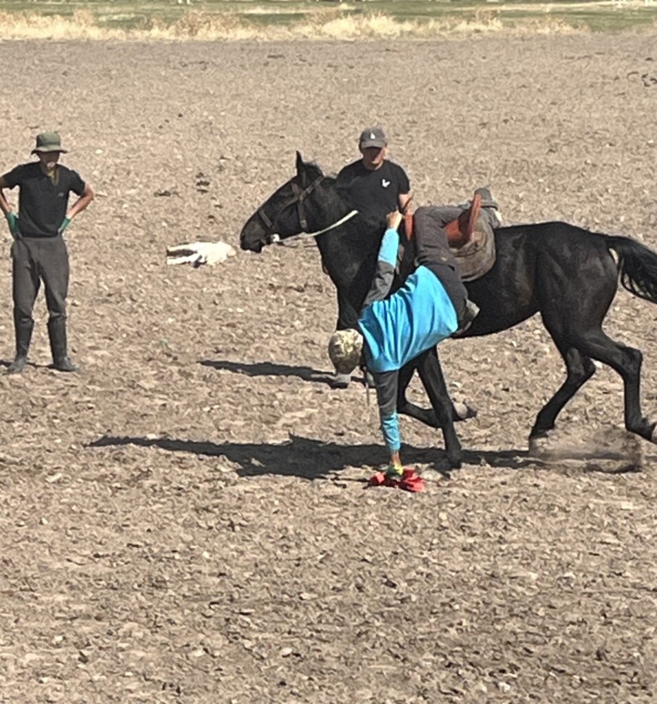 Horse competition in Kyrzystan