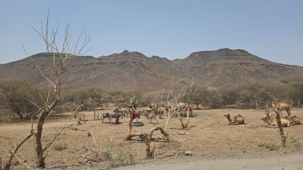 Images from Djibouti in 2025