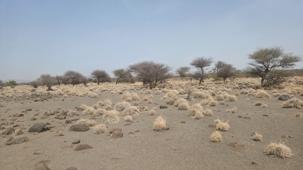 Images from Djibouti in 2025