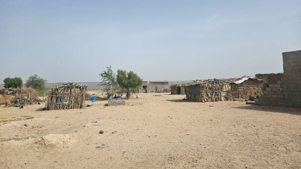 Images from Djibouti in 2025