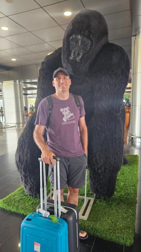 Statue of a mountain gorilla in Entebbe airport in Uganda in our trip in 2025 for the Uganda marathon