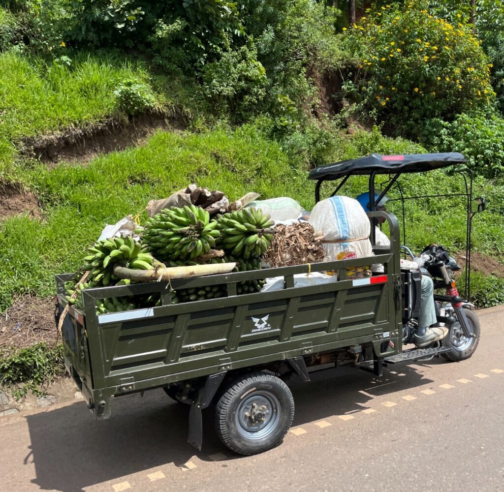 Transporting bananas in Uganda in 2025, during our trip for the Uganda Marathon