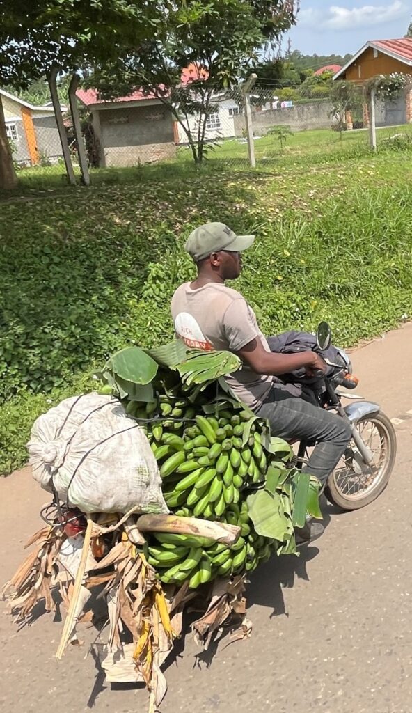 Transporting bananas in Uganda in 2025, during our trip for the Uganda Marathon
