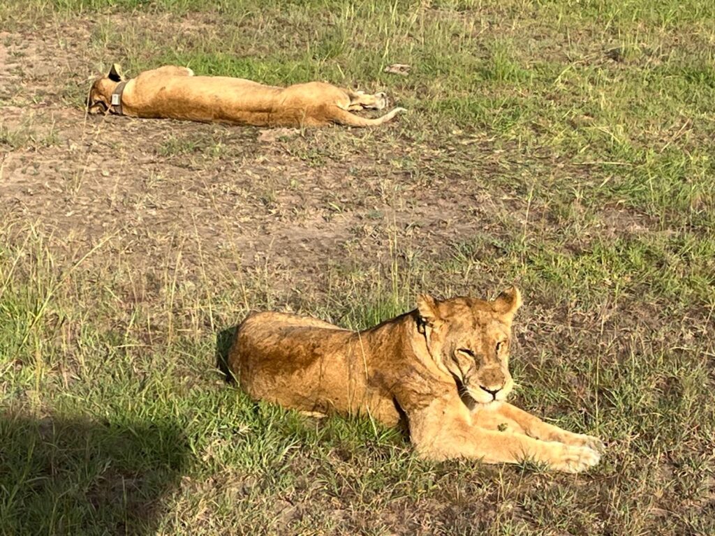 Images of Uganda during our trip in 2025