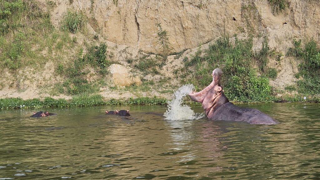 Images of Uganda during our trip in 2025