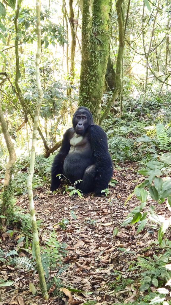 Images of Uganda during our trip in 2025