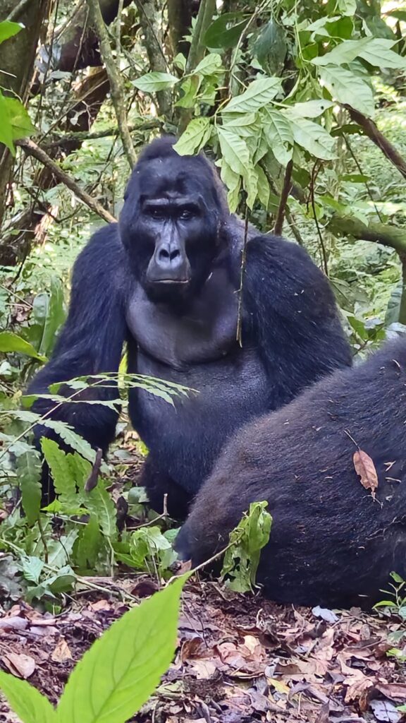 Images of Uganda during our trip in 2025