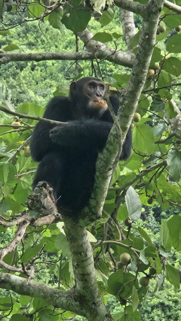 Images of Uganda during our trip in 2025