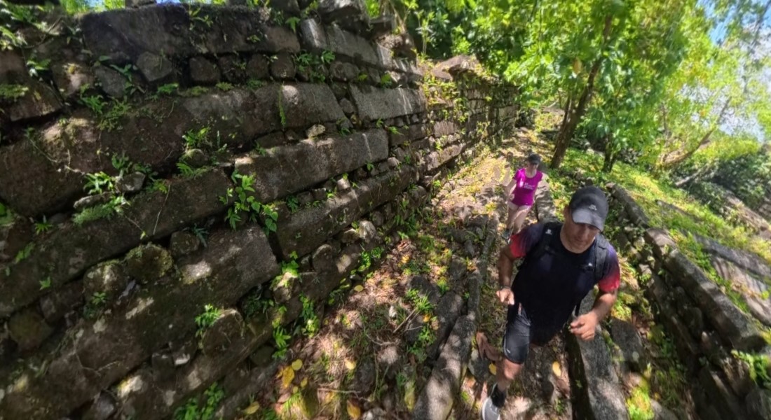 The running ginger running in Nan Madol ruins in Pohnpei, Micronesia.