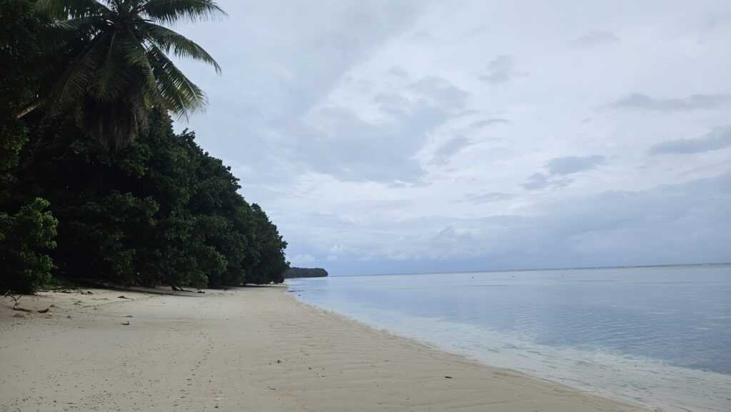Selected images of the Majuro Atoll in the Marshall Islands. September 2025. Laura Beach.