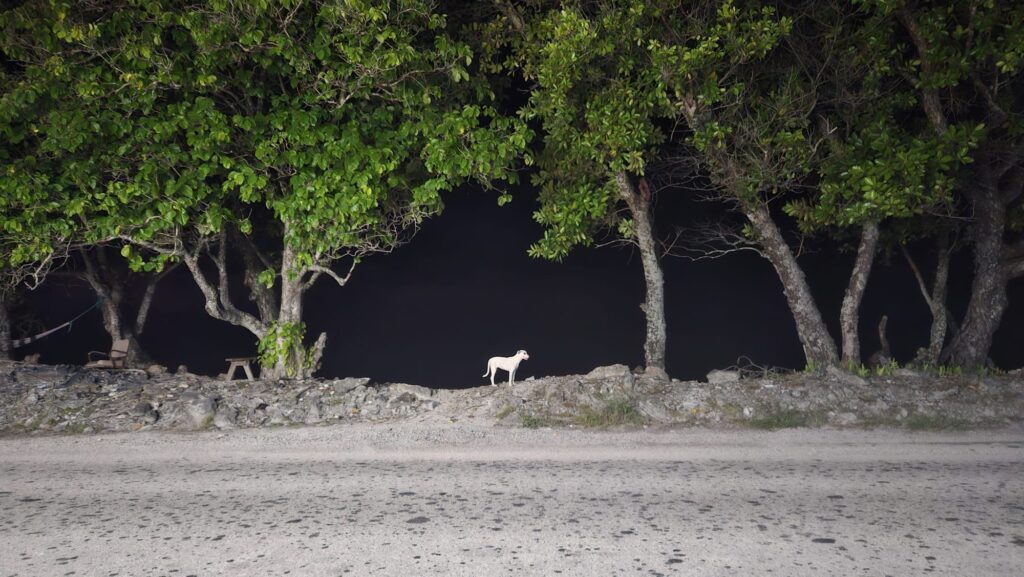 Track and Field in Majuro, the Marshall Islands. 