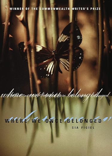 Recommended novel for travelling to Samoa: "Where we once belonged" by Sia Figiel.