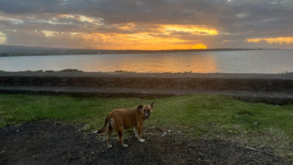 Iconic images of Samoa in 2025 during our run in Apia in August. Two recommended routes for runinng.