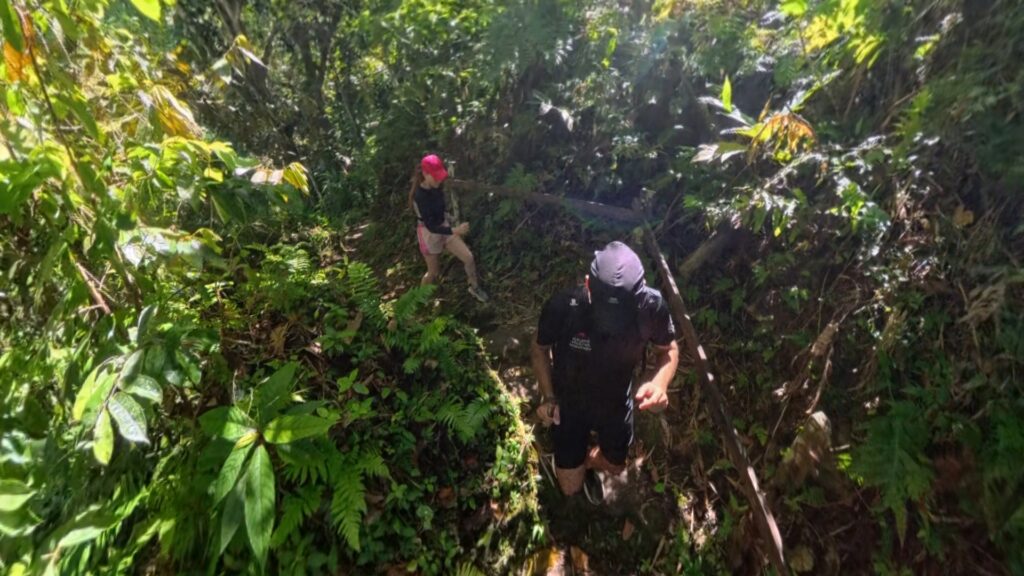 Images of our scenic trail 4k run from Mele Waterfalls to Mele Beach trough Devil's Point Road in Vanuatu