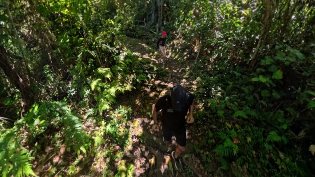 Images of our scenic trail 4k run from Mele Waterfalls to Mele Beach trough Devil's Point Road in Vanuatu