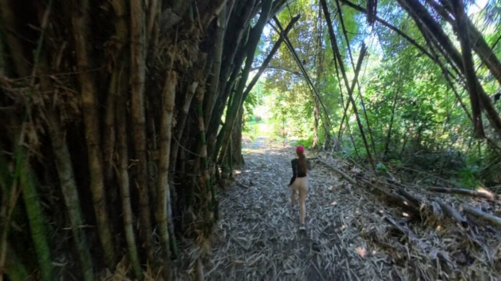 Images of our scenic trail 4k run from Mele Waterfalls to Mele Beach trough Devil's Point Road in Vanuatu