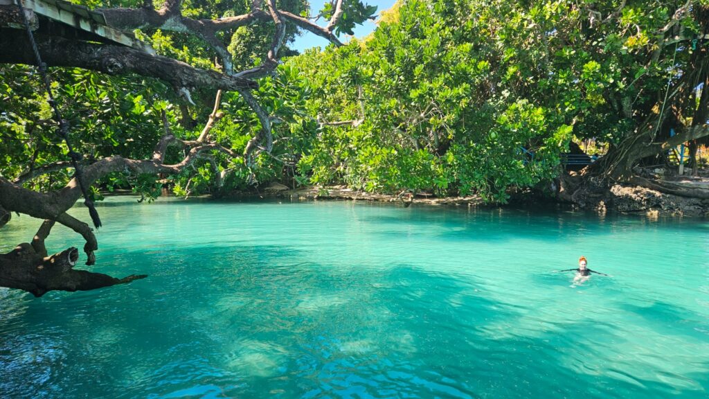 Iconic image of Vanuatu in 2025, during our trip. Blue Lagoon.