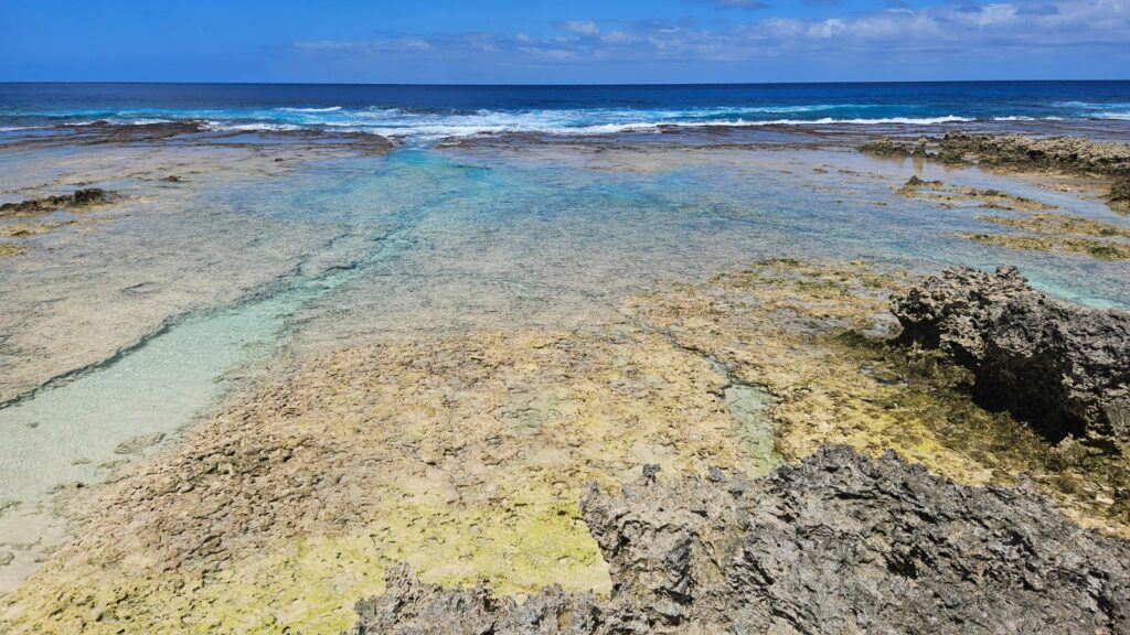 Iconic image of Vanuatu in 2025, during our trip.