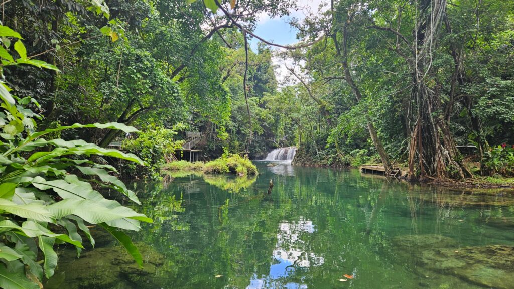 Iconic image of Vanuatu in 2025, during our trip.