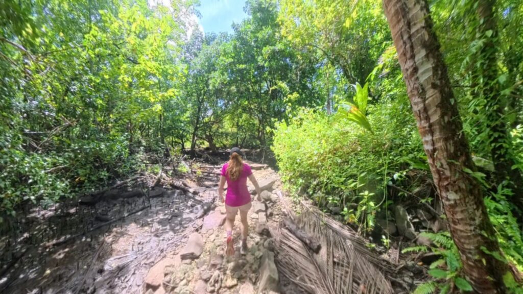 The running ginger running in the ancient ruins of Nan Madol in Pohnpei, Micronesia. 