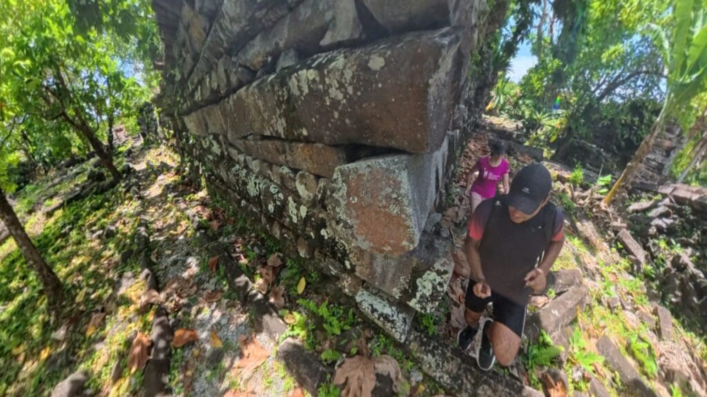 The running ginger running in the ancient ruins of Nan Madol in Pohnpei, Micronesia. 