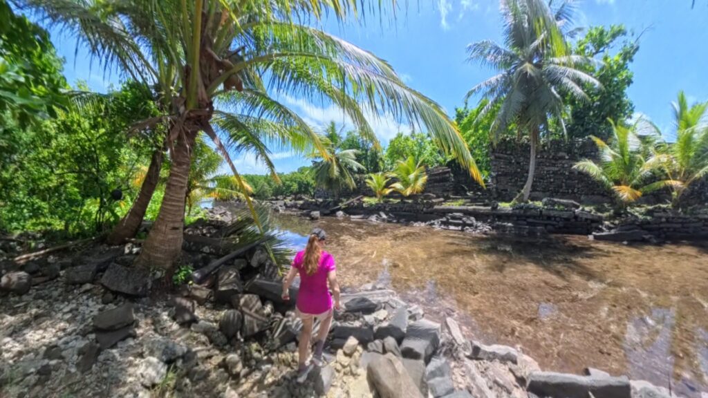 The running ginger running in the ancient ruins of Nan Madol in Pohnpei, Micronesia. 