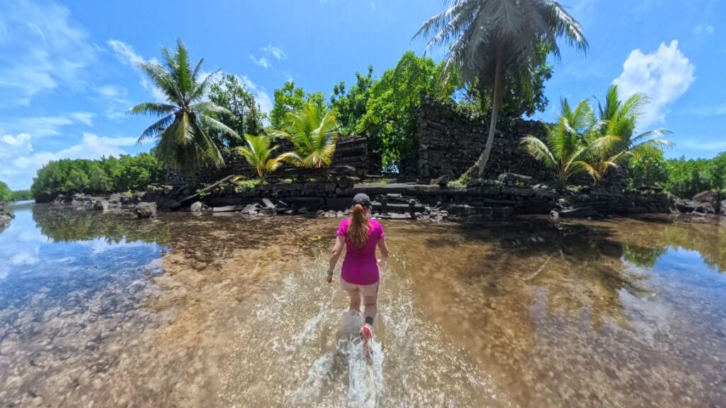 The running ginger running in the ancient ruins of Nan Madol in Pohnpei, Micronesia. 