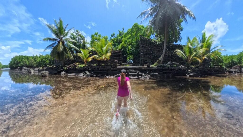 The running ginger running in Pohnpei, Micronesia. Ruins of Nan Madol.