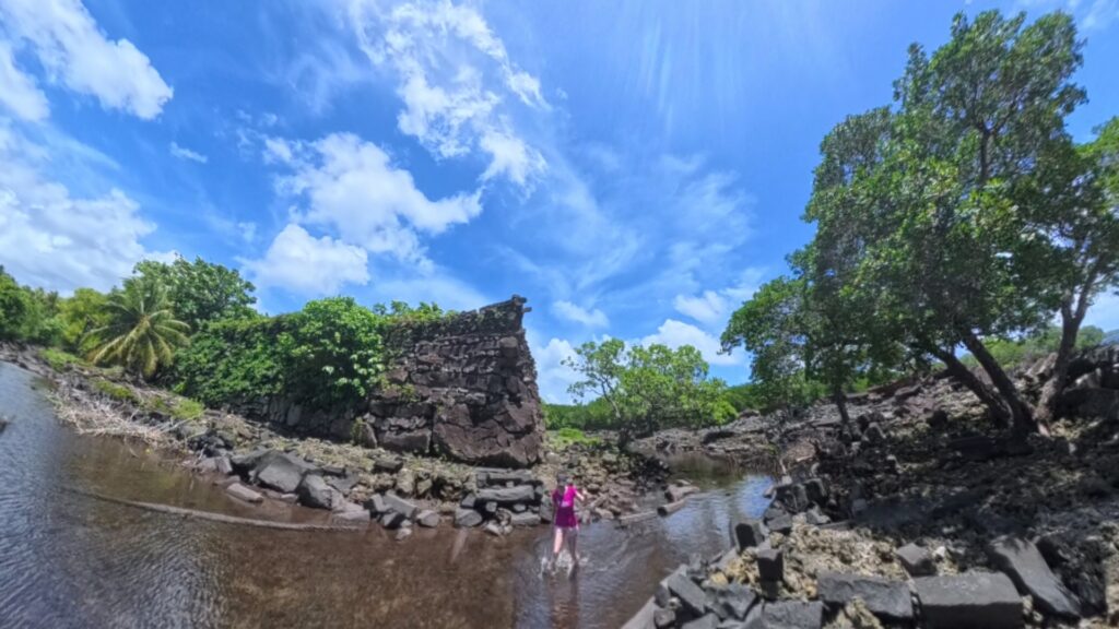 The running ginger running in the ancient ruins of Nan Madol in Pohnpei, Micronesia. 