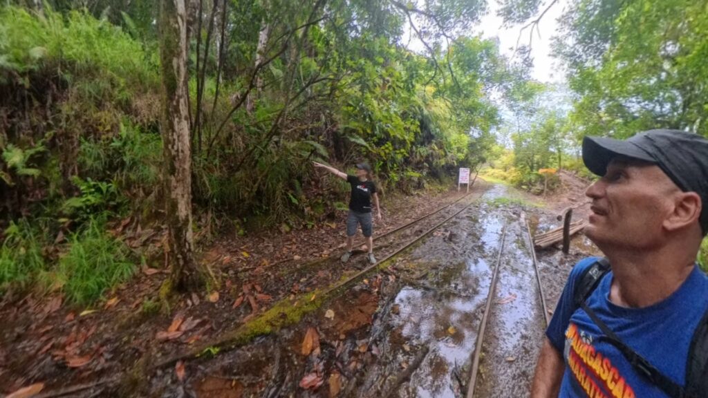 The running ginger running in Medalaiechad Trail in Palau