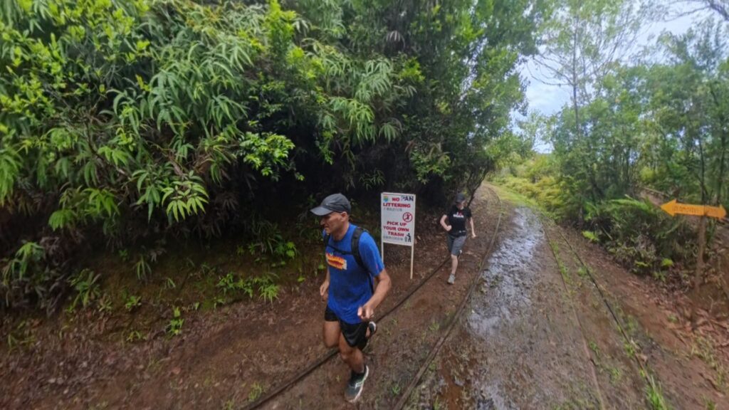 The running ginger running in Medalaiechad Trail in Palau