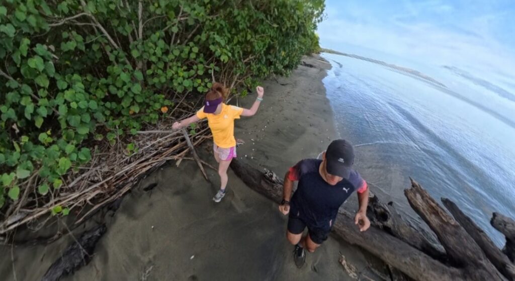 The running ginger running in Sonaisali Island in Fiji