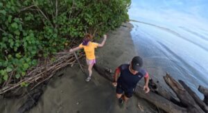 The running ginger running in Sonaisali Island in Fiji
