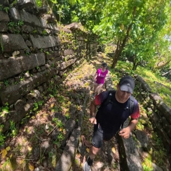 The running ginger running in Nan Madol in Pohnpei in Micronesia in 2025