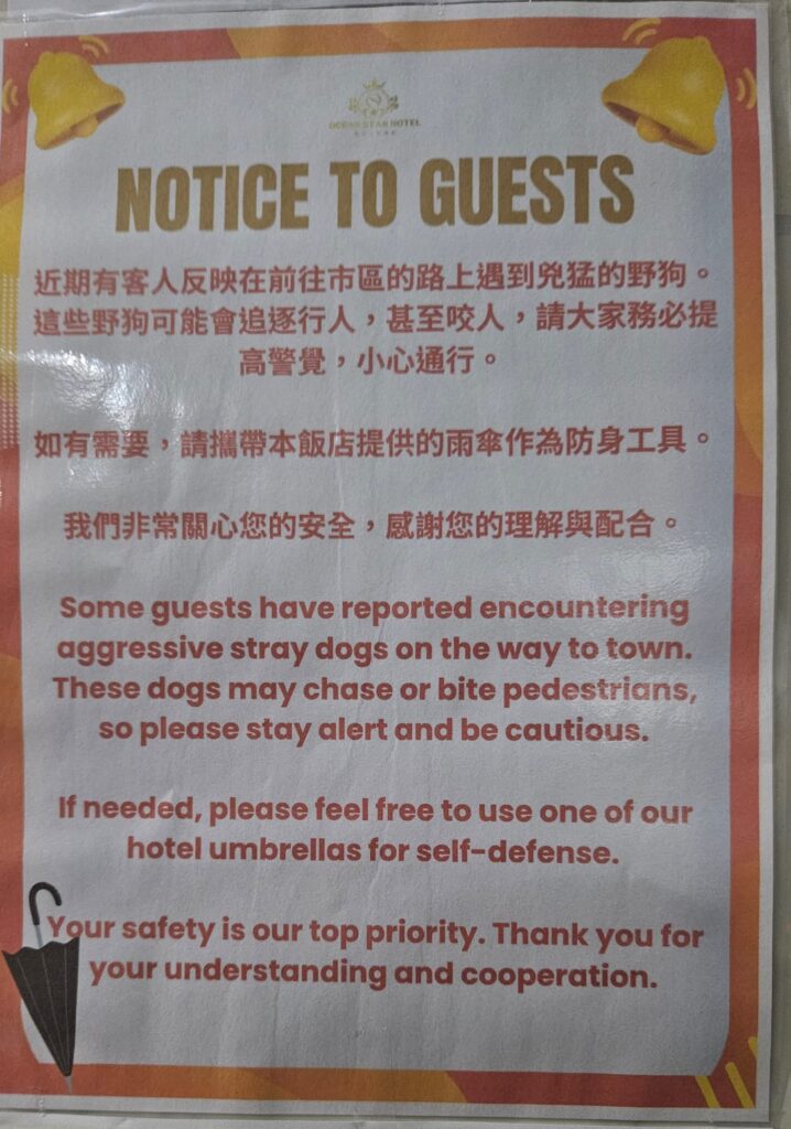 Warning about Stray dogs in Koror, Palau