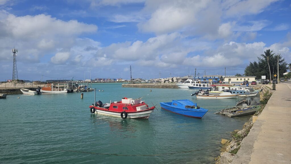 Selected image of Nuku'alofa, the capital of Tonga, in our trip to swim with whales.