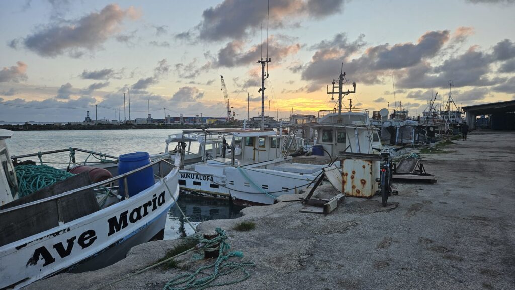 Selected image of Nuku'alofa, the capital of Tonga, in our trip to swim with whales.