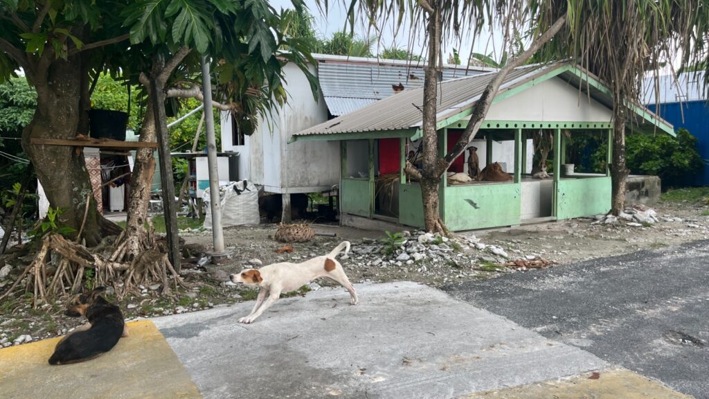 Selected images of the trip to Tuvalu, the least visited country in the world.