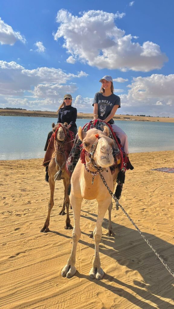 Touristic Highlights of Cairo to visit before and after the Pyramids Half Marathon. The Great Egyptian Museum opened in 2025. Al Fayoum and Valley of the Whales.
