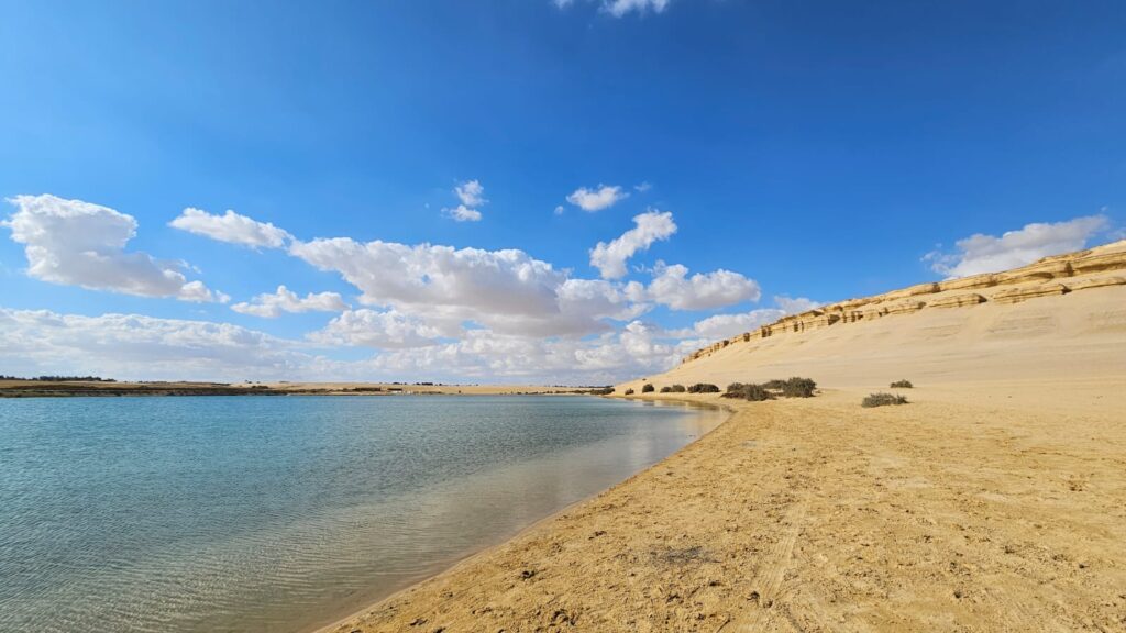 Touristic Highlights of Cairo to visit before and after the Pyramids Half Marathon. The Great Egyptian Museum opened in 2025. Al Fayoum and Valley of the Whales.