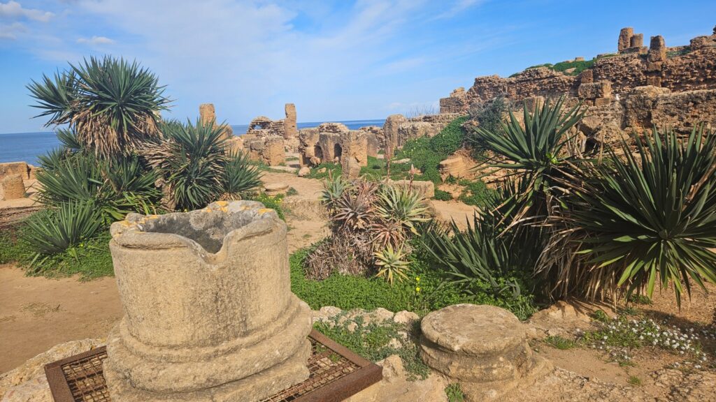 Highlights of North Algeria during our visit in 2026 - Roman ru8ns in Tipaza 