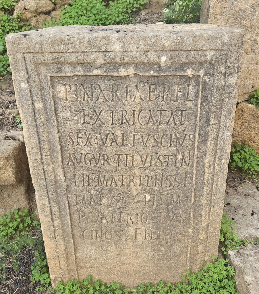 Highlights of North Algeria during our visit in 2026 - Roman ru8ns in Tipaza 