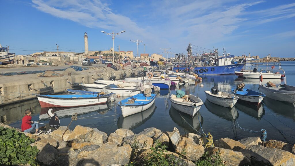 Highlights of North Algeria during our visit in 2026 - Cherchell