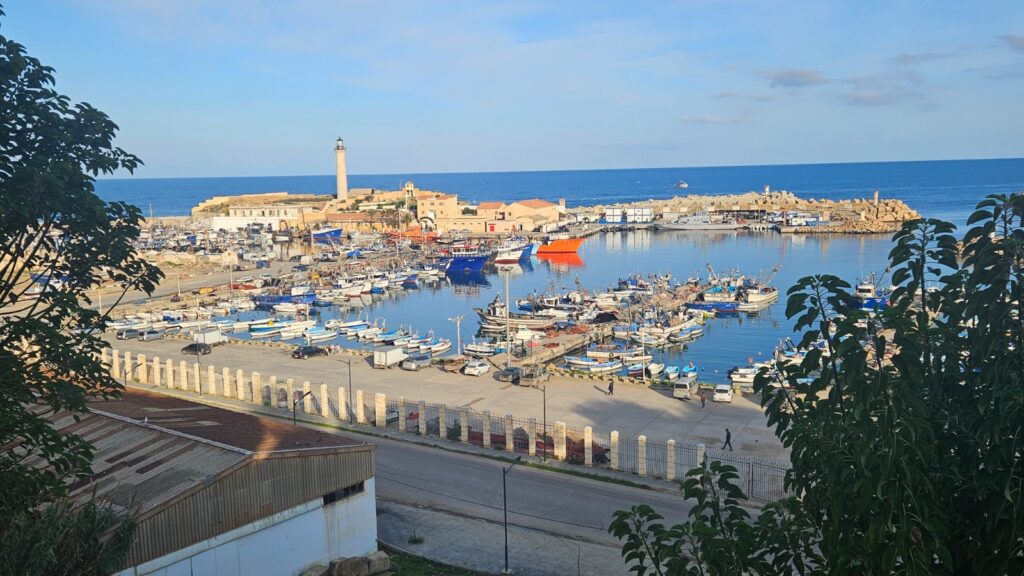 Highlights of North Algeria during our visit in 2026 - Cherchell