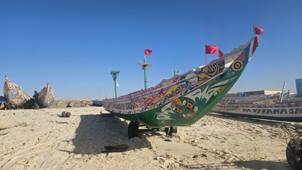 Nouakchott Fish market, Mauritania, 2026