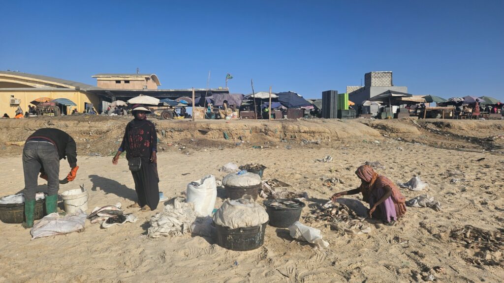 Nouakchott Fish market, Mauritania, 2026