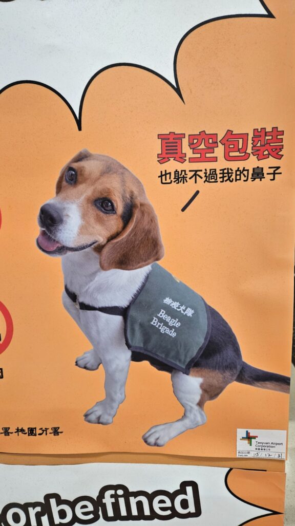 Beagle Patrol: dogs against drugs in Taipei, Taiwan.