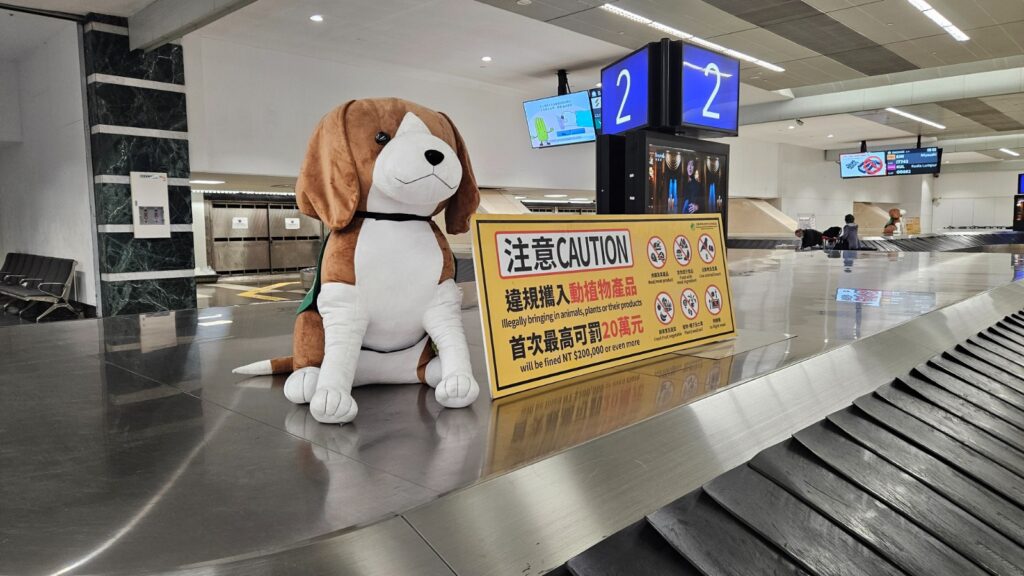Beagle Patrol: dogs against drugs in Taipei, Taiwan.