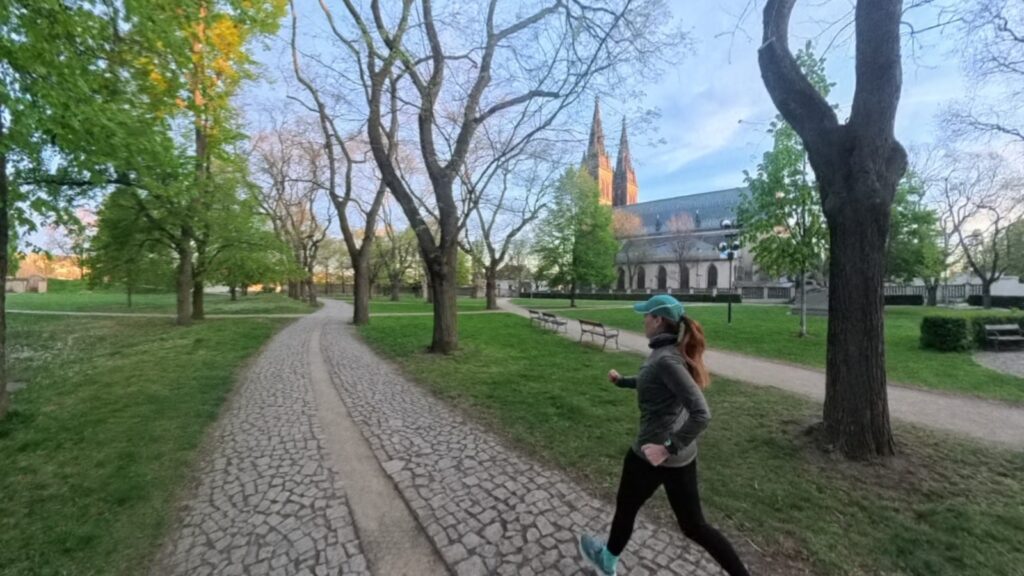 The running ginger running in the heart of Prague in 2026 